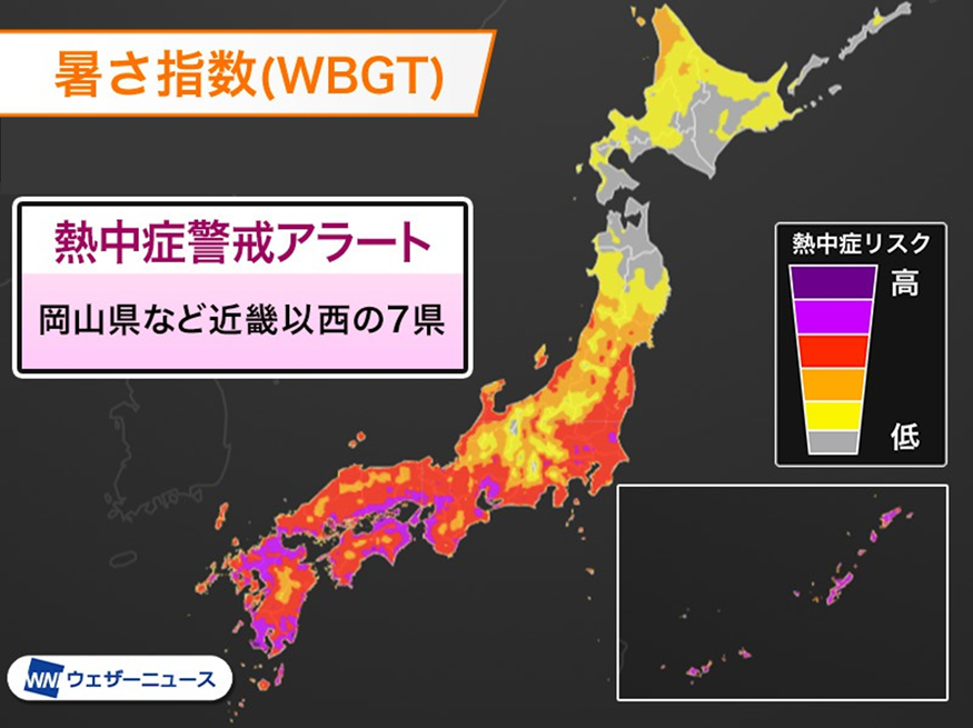 8月の画像