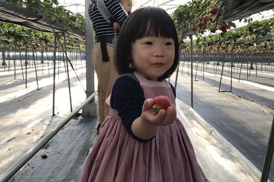 ブログの画像