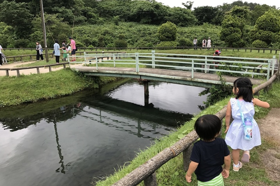 ブログの画像