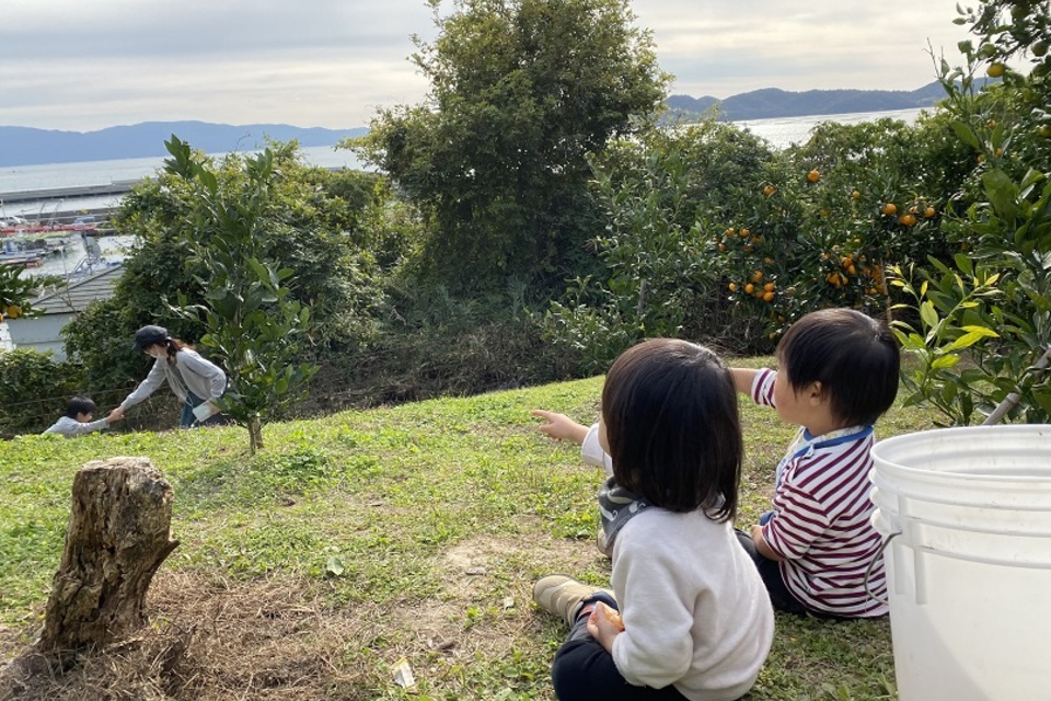 ブログの画像