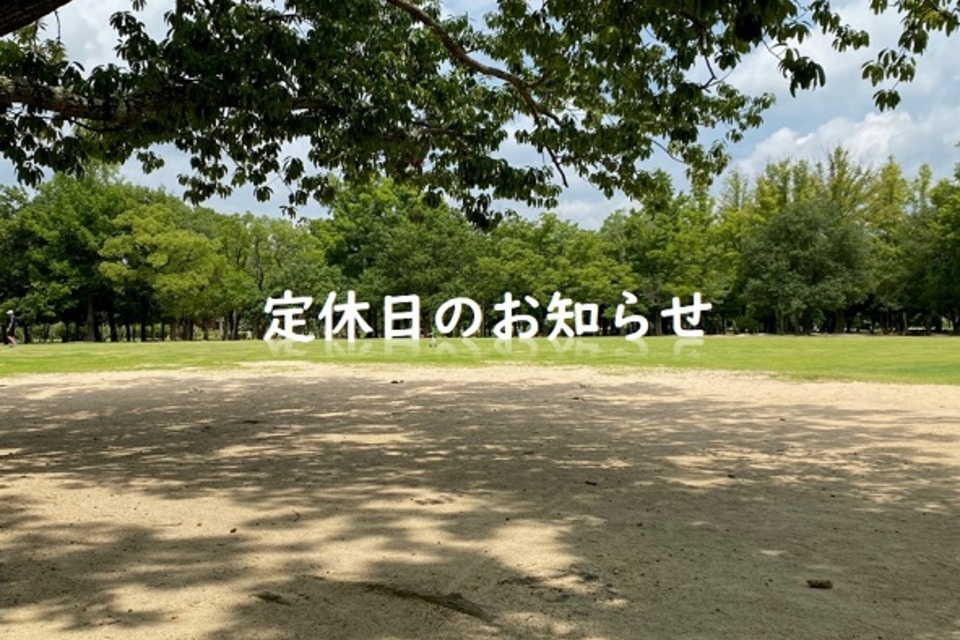 ブログの画像