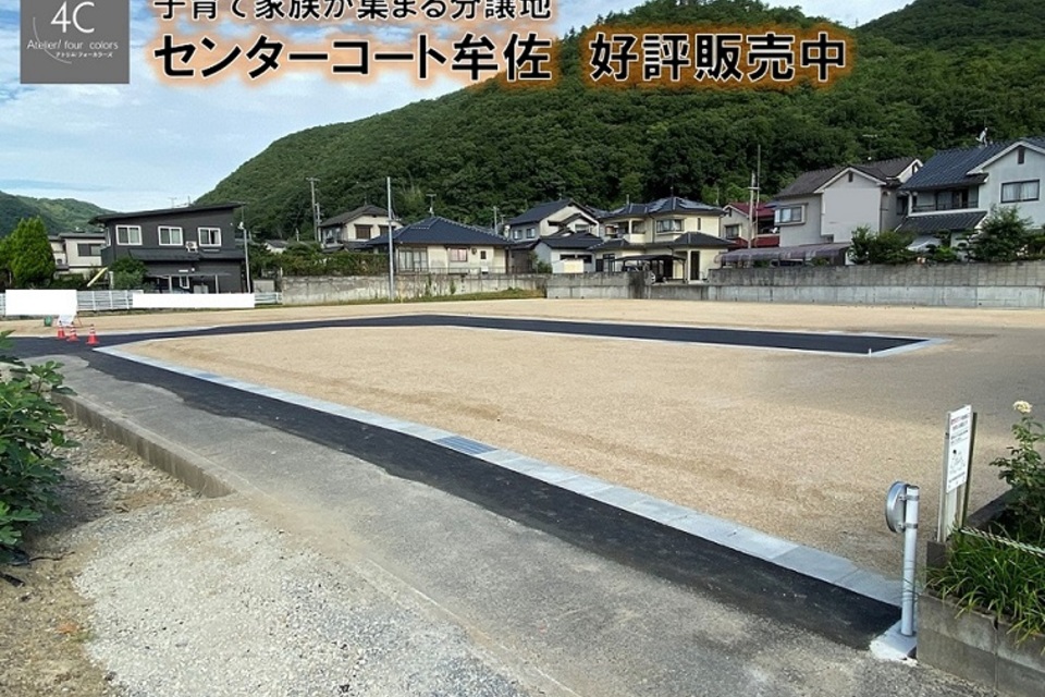 ブログの画像