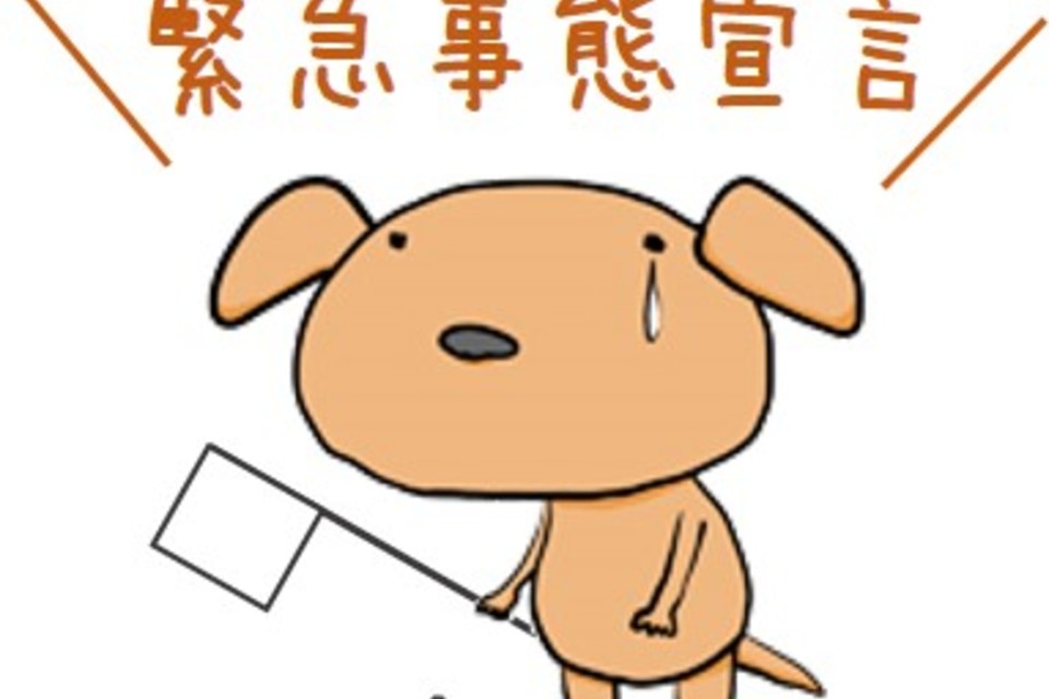 ブログの画像