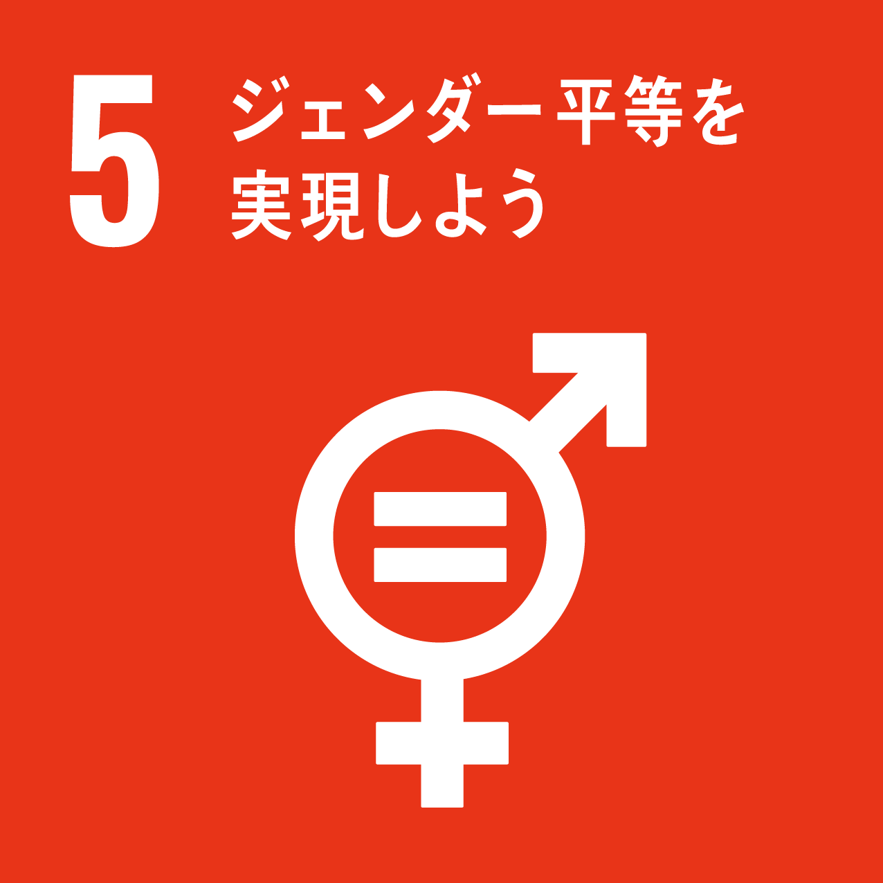 ダミー画像